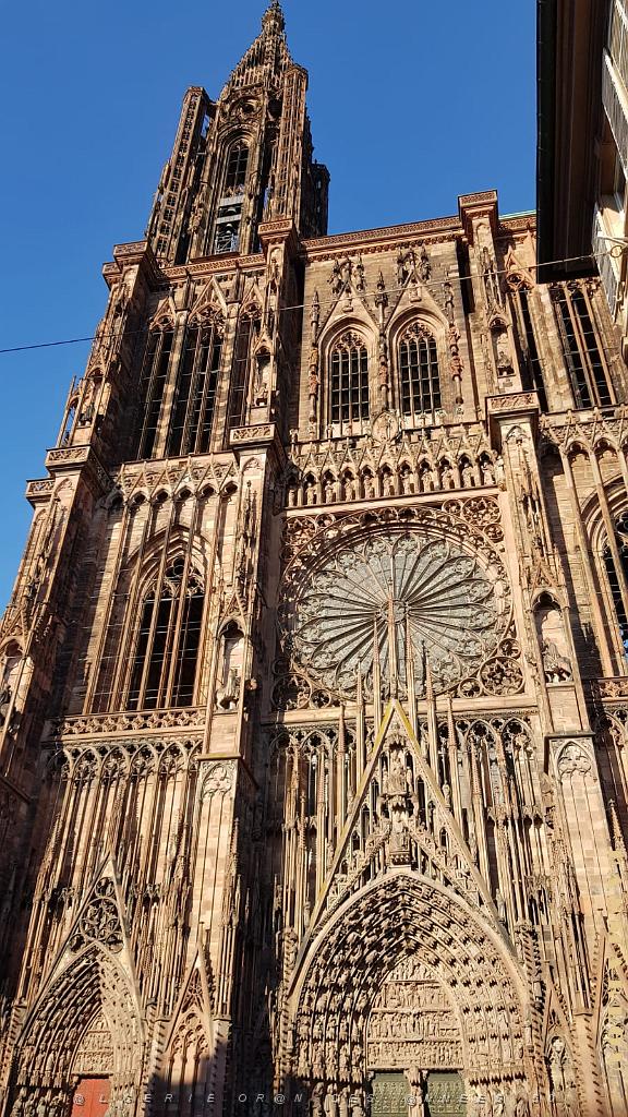 2022 08 DU COTE DE STRASBOURG.JPG